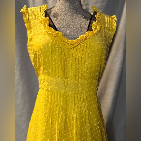 Anthropologie's Moulinette Soeurs Golden Ruffle Dress. Textured Dot Size 10 - Picture 4 of 15